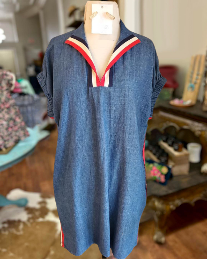 Side Stripe Denim Mini Dress