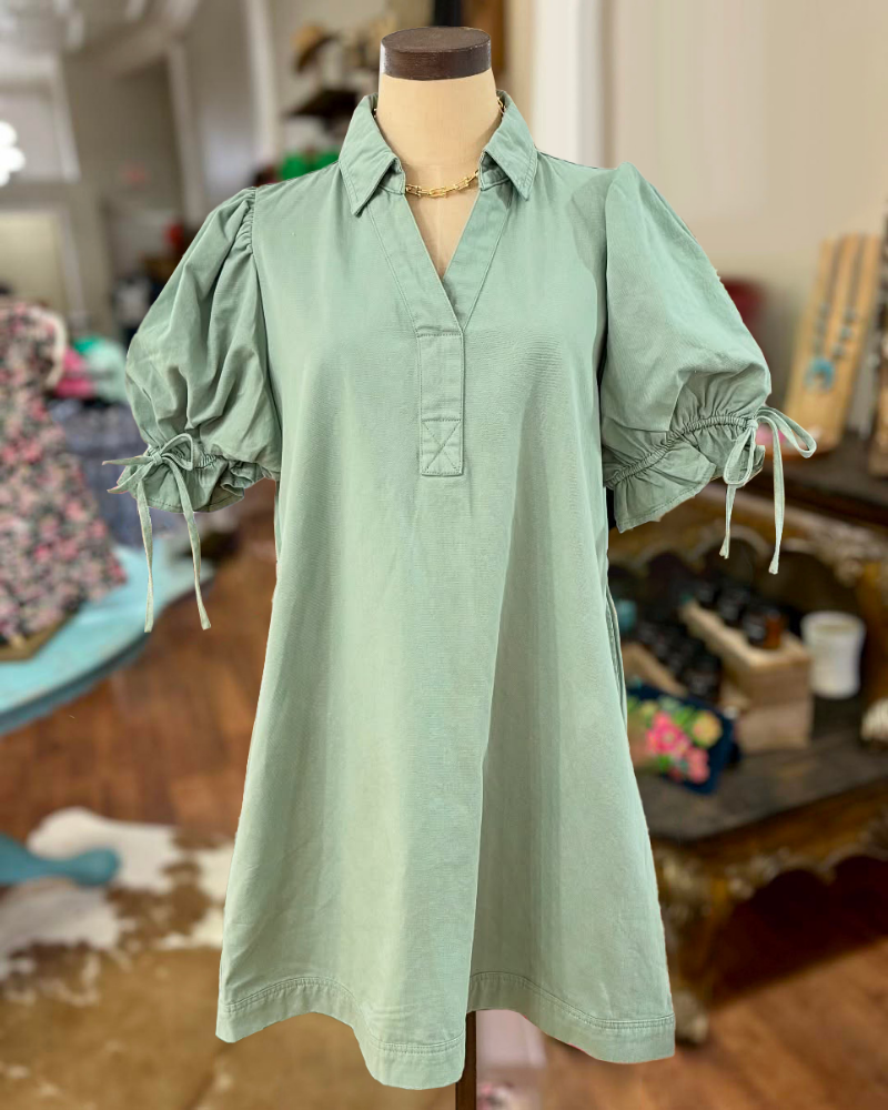 Simple Puff Sleeve Bow Dress